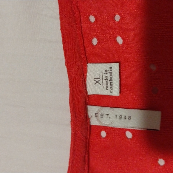 cato XL woman top - Picture 2 of 2